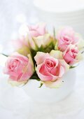 A posy of pink roses (table decoration)