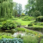 Summery garden with pond