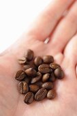 Coffee beans on someone's hand