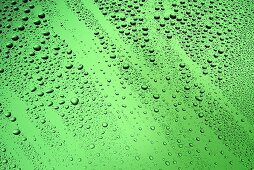 Drops of water on green surface