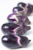 Aubergines with drops of water, in a row