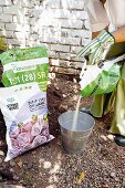 Woman tipping bonemeal (organic fertiliser) into zinc bucket