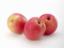 Three apples (variety 'Pink Lady') with drops of water