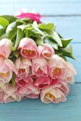 Bunch of pink tulips