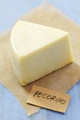 Piece of Pecorino cheese on paper