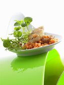 Watercress and lentil salad