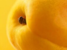 An apricot (close-up)