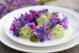 Wreath of hyacinths, violets and viburnum on plate
