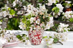 Apple blossom in vase