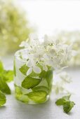 Ice beaker with hydrangea flowers and mint