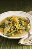 Barley soup with chicken and vegetables