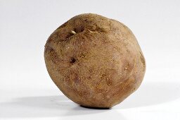 A potato (variety 'Edzell Blue')