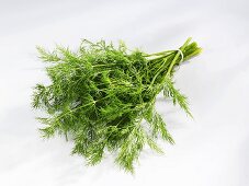 A bunch of fresh dill