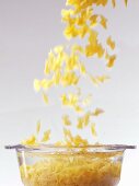 Farfalle falling into water in glass pot