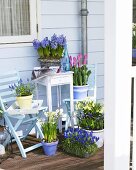 Various spring flowers in pots on a balcony