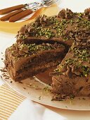 Chocolate cake with pistachios
