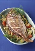 Sea bream on fennel and tomatoes
