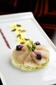Marinierter Gelbflossenthunfisch mit Kaviar auf Krabben-Kohl-Salat (Japan)