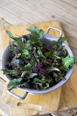 Purple sprouting broccoli in colander