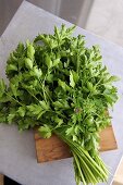 A bunch of fresh parsley