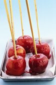 Toffee apples on sticks