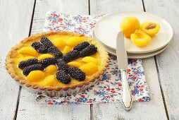 Blackberry and apricot tart with jelly