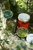 Tapenade, red and green pesto in jars