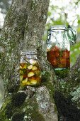 Garlic and tomatoes pickled in oil