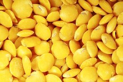 Viele gelbe Linsen (bildfüllend)