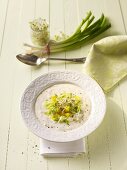 Spicy cold yogurt yogurt with spring onions and sprouts