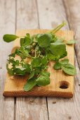 Cress on a wooden board