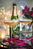 Two champagne cocktails with a bottle of champagne in the background (Christmas)