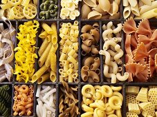 A seedling tray filled with various types of pasta