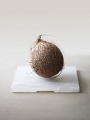 A coconut