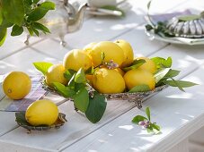 Lemons in silver dish on wooden table