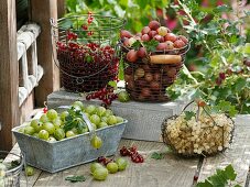 Körbe mit Johannisbeeren und Stachelbeeren