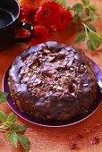 Nut cake with chocolate icing