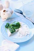 Chicken breast with spinach and rice
