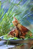 Herb chicken with coriander leaves