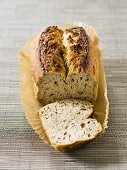 Seed bread, a slice cut