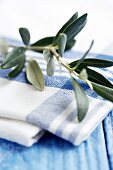 Olivenzweig auf weiss-blauem Tuch