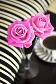 Pink roses in vase