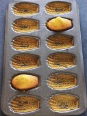 Madeleine tin with two madeleines (small French cakes)