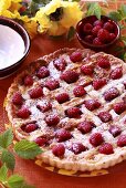 Raspberry tart with lattice crust