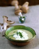 Pilzcremesuppe mit Sahnehäubchen und Schnittlauch