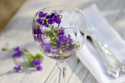 Violets in a wine glass
