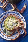 Spider crab salad in spider crab shell