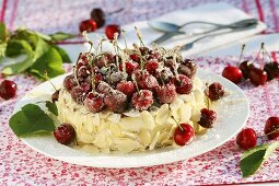 Biskuitkuchen mit gezuckerten Kirschen