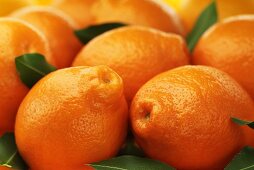 Lots of tangerines (macro zoom)