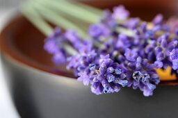 Lavender sprigs with flowers on a bowl (close up)